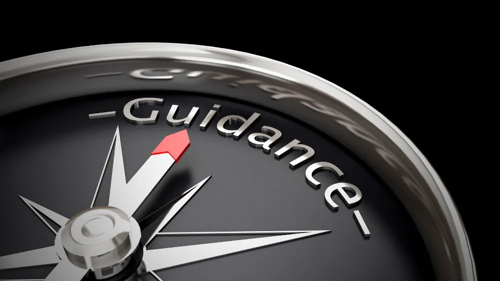 catipult quickstart guidance